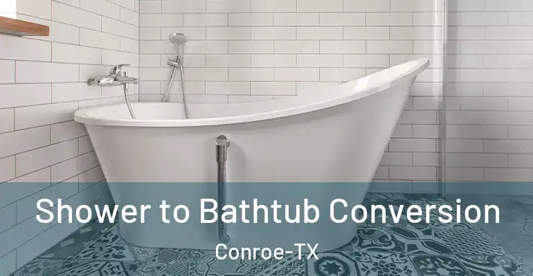 inner Bathroom imggen Shower to Bathtub Conversion Conroe-TX