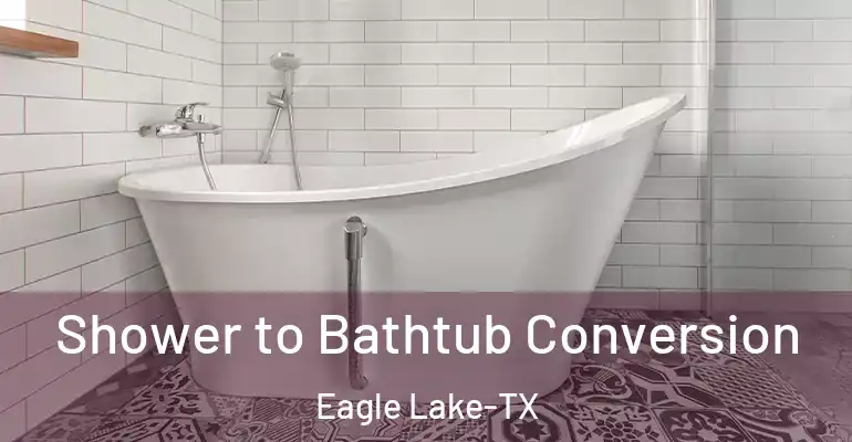 inner Bathroom imggen Shower to Bathtub Conversion Eagle Lake-TX