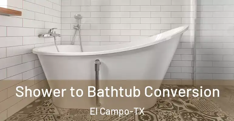inner Bathroom imggen Shower to Bathtub Conversion El Campo-TX