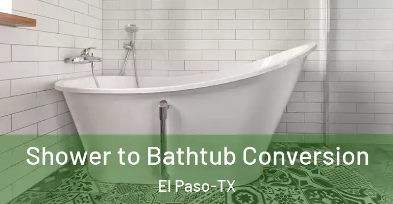inner Bathroom imggen Shower to Bathtub Conversion El Paso-TX