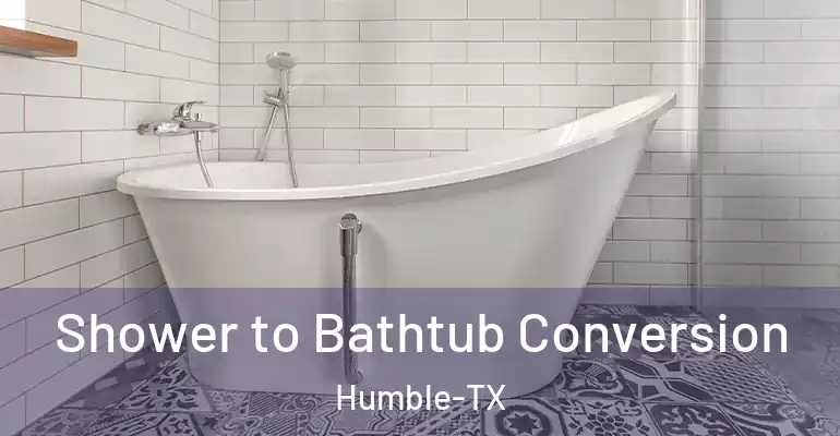 inner Bathroom imggen Shower to Bathtub Conversion Humble-TX