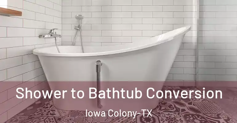 inner Bathroom imggen Shower to Bathtub Conversion Iowa Colony-TX