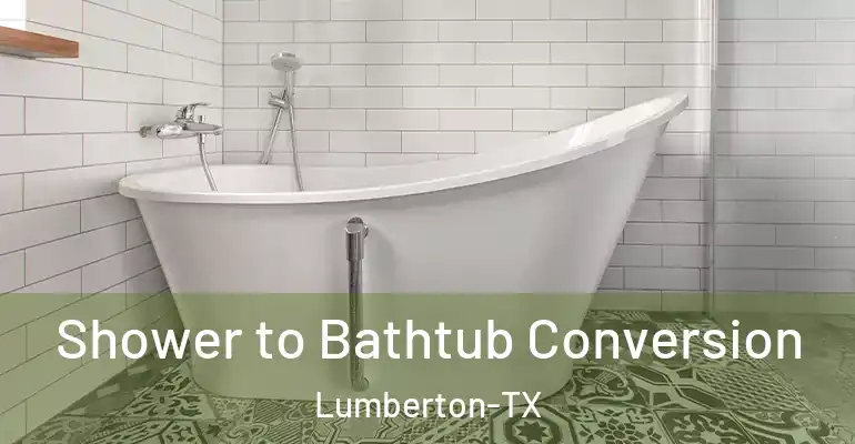 inner Bathroom imggen Shower to Bathtub Conversion Lumberton-TX