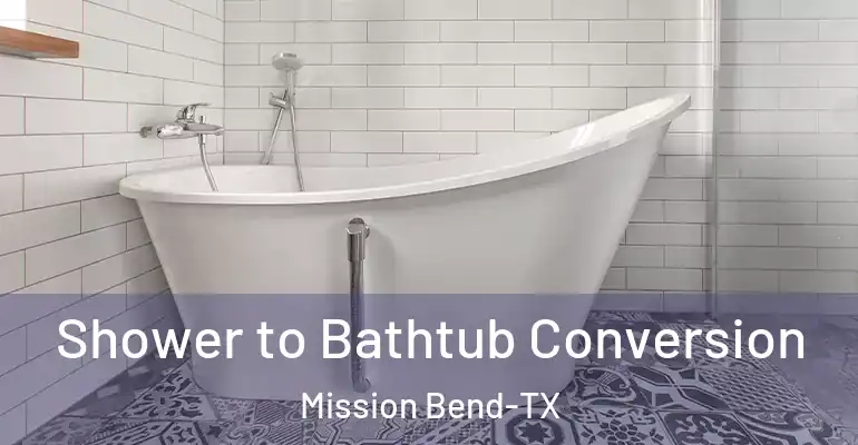 inner Bathroom imggen Shower to Bathtub Conversion Mission Bend-TX