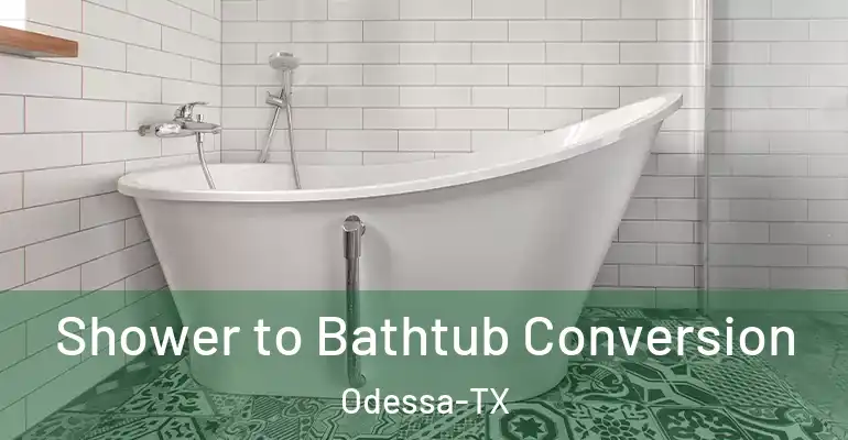 inner Bathroom imggen Shower to Bathtub Conversion Odessa-TX