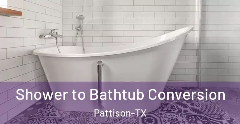 inner Bathroom imggen Shower to Bathtub Conversion Pattison-TX