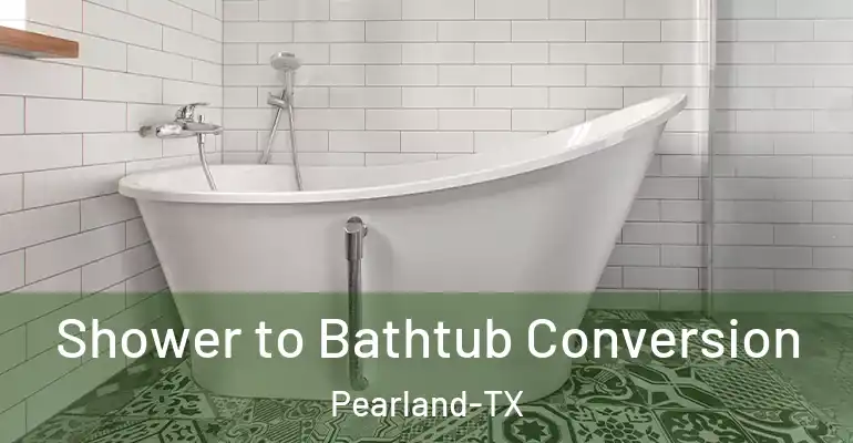 inner Bathroom imggen Shower to Bathtub Conversion Pearland-TX