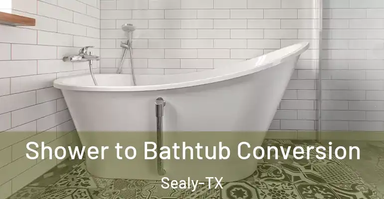 inner Bathroom imggen Shower to Bathtub Conversion Sealy-TX