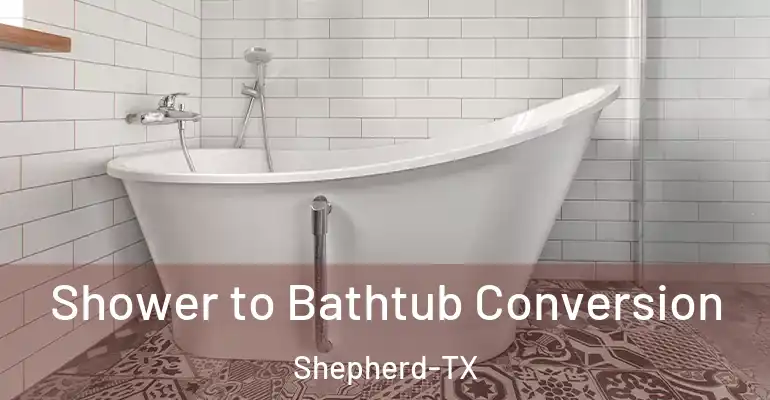 inner Bathroom imggen Shower to Bathtub Conversion Shepherd-TX