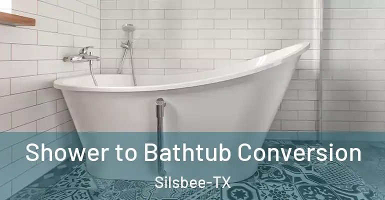 inner Bathroom imggen Shower to Bathtub Conversion Silsbee-TX