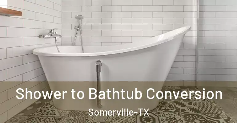 inner Bathroom imggen Shower to Bathtub Conversion Somerville-TX