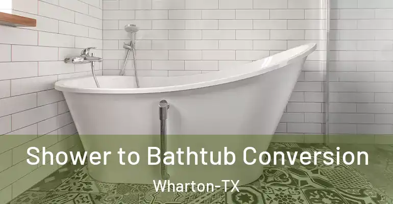 inner Bathroom imggen Shower to Bathtub Conversion Wharton-TX
