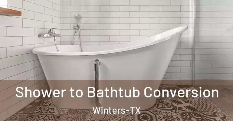 inner Bathroom imggen Shower to Bathtub Conversion Winters-TX