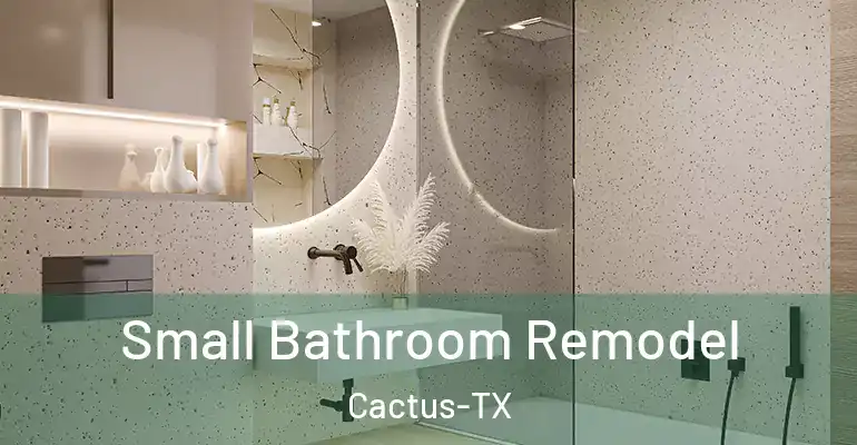 inner Bathroom imggen Small Bathroom Remodel Cactus-TX