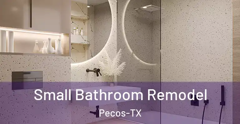 inner Bathroom imggen Small Bathroom Remodel Pecos-TX