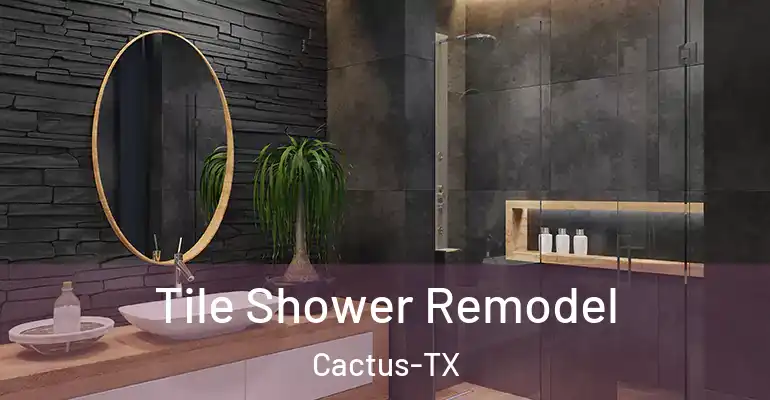 inner Bathroom imggen Tile Shower Remodel Cactus-TX