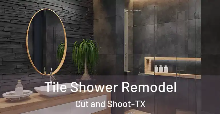 inner Bathroom imggen Tile Shower Remodel Cut and Shoot-TX