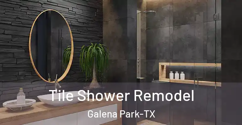 inner Bathroom imggen Tile Shower Remodel Galena Park-TX