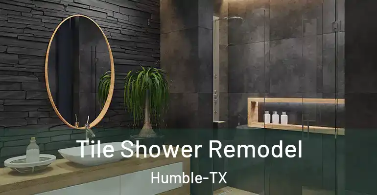 inner Bathroom imggen Tile Shower Remodel Humble-TX