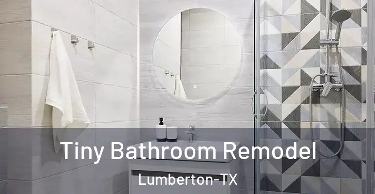 inner Bathroom imggen Tiny Bathroom Remodel Lumberton-TX