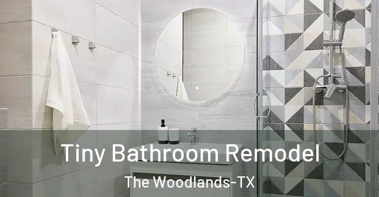 inner Bathroom imggen Tiny Bathroom Remodel The Woodlands-TX