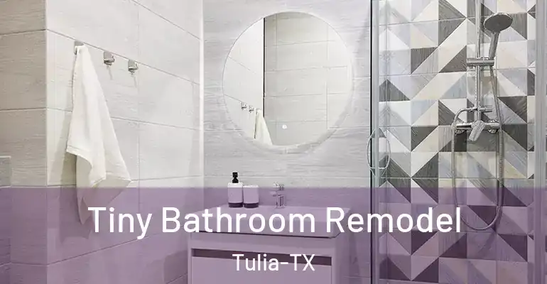 inner Bathroom imggen Tiny Bathroom Remodel Tulia-TX