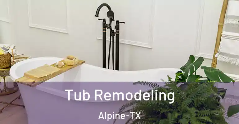 inner Bathroom imggen Tub Remodeling Alpine-TX