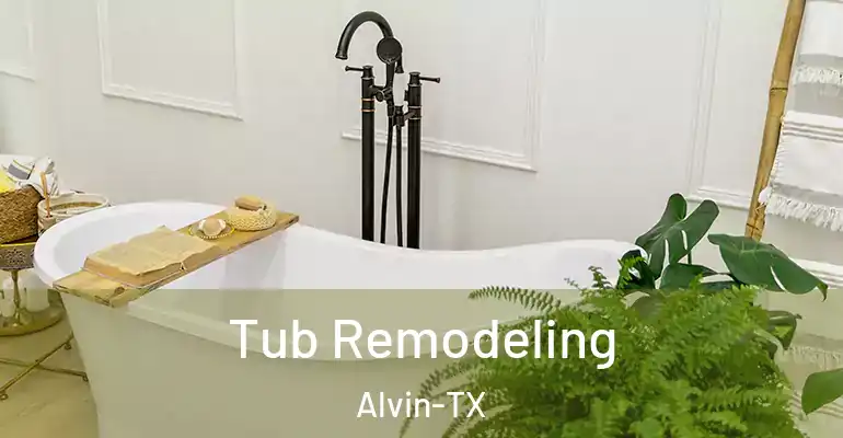 inner Bathroom imggen Tub Remodeling Alvin-TX