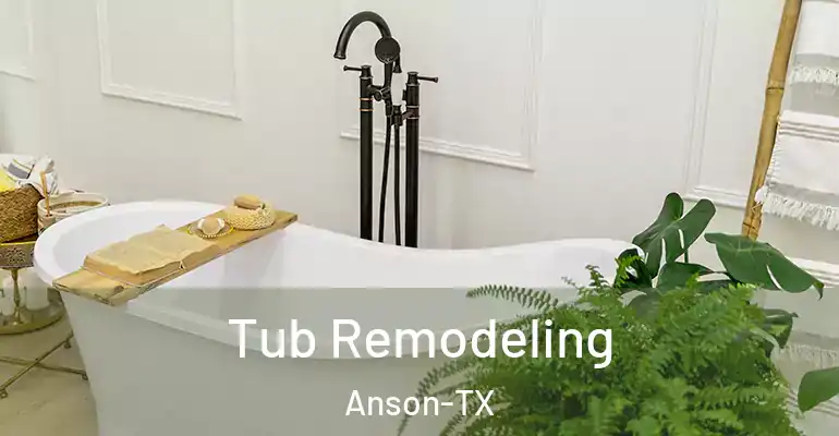 inner Bathroom imggen Tub Remodeling Anson-TX