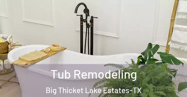 inner Bathroom imggen Tub Remodeling Big Thicket Lake Estates-TX