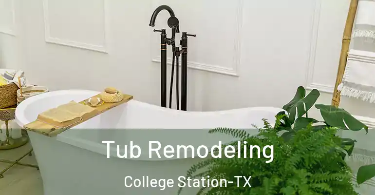 inner Bathroom imggen Tub Remodeling College Station-TX