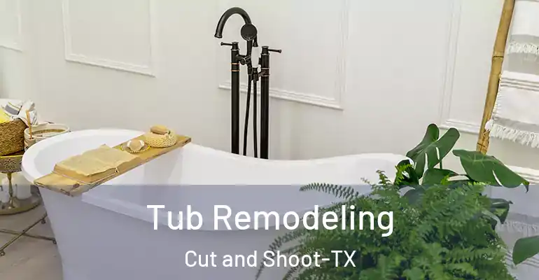 inner Bathroom imggen Tub Remodeling Cut and Shoot-TX