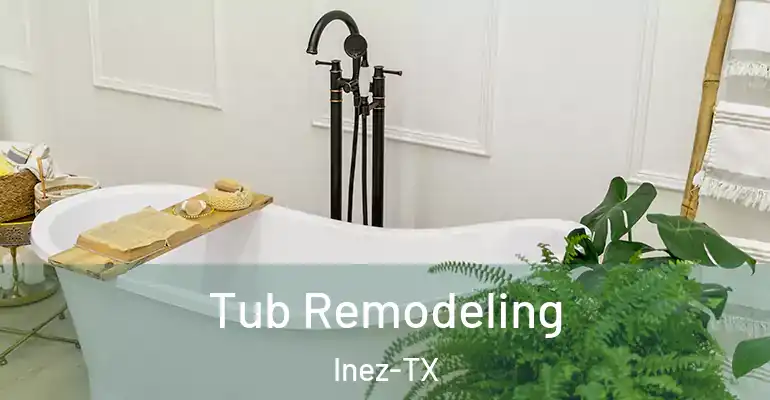 inner Bathroom imggen Tub Remodeling Inez-TX