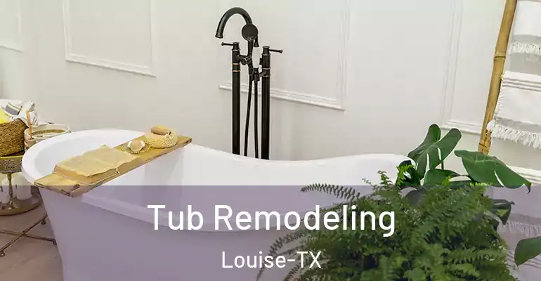 inner Bathroom imggen Tub Remodeling Louise-TX