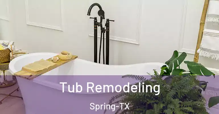 inner Bathroom imggen Tub Remodeling Spring-TX