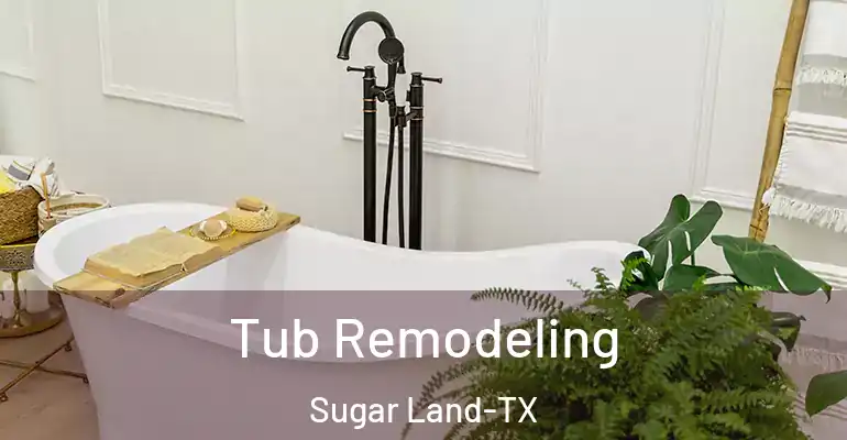 inner Bathroom imggen Tub Remodeling Sugar Land-TX