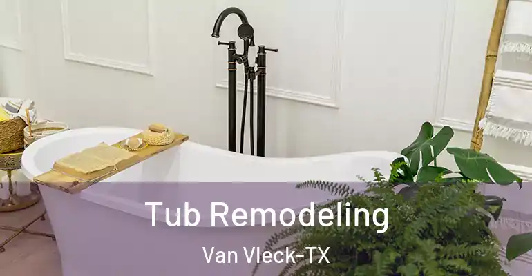 inner Bathroom imggen Tub Remodeling Van Vleck-TX