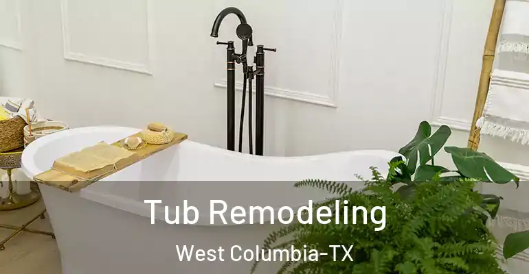 inner Bathroom imggen Tub Remodeling West Columbia-TX