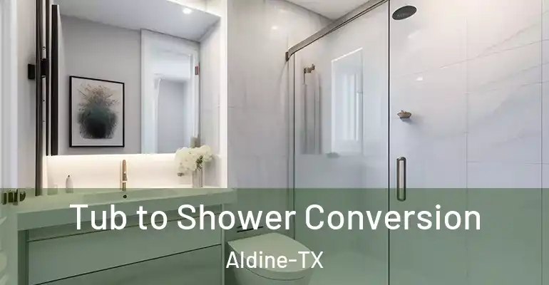 inner Bathroom imggen Tub to Shower Conversion Aldine-TX