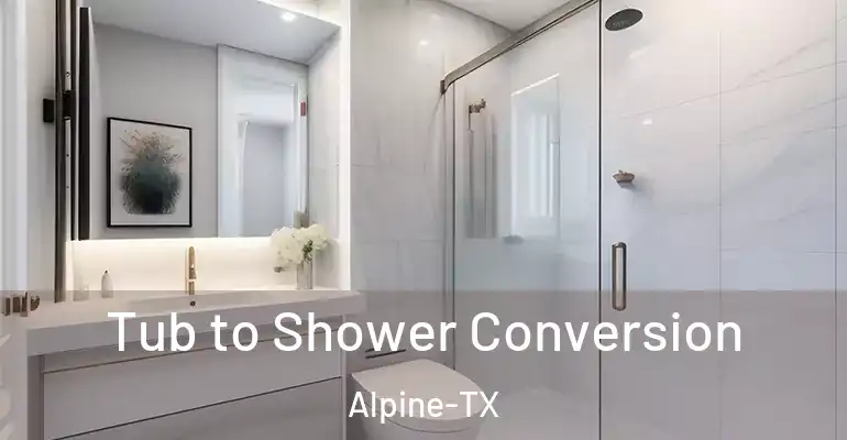 inner Bathroom imggen Tub to Shower Conversion Alpine-TX