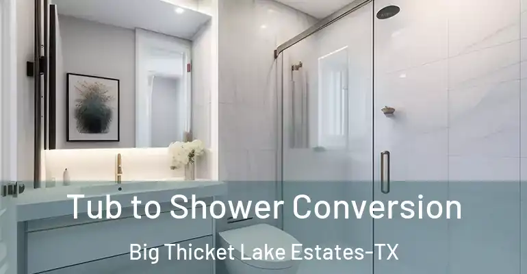 inner Bathroom imggen Tub to Shower Conversion Big Thicket Lake Estates-TX