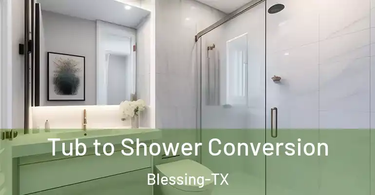 inner Bathroom imggen Tub to Shower Conversion Blessing-TX