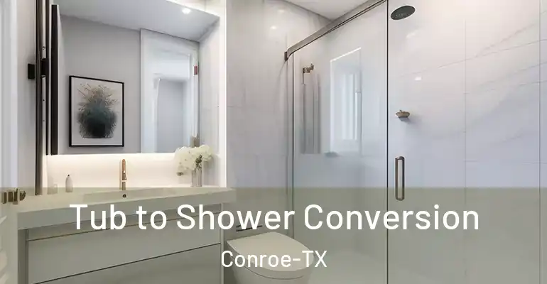 inner Bathroom imggen Tub to Shower Conversion Conroe-TX