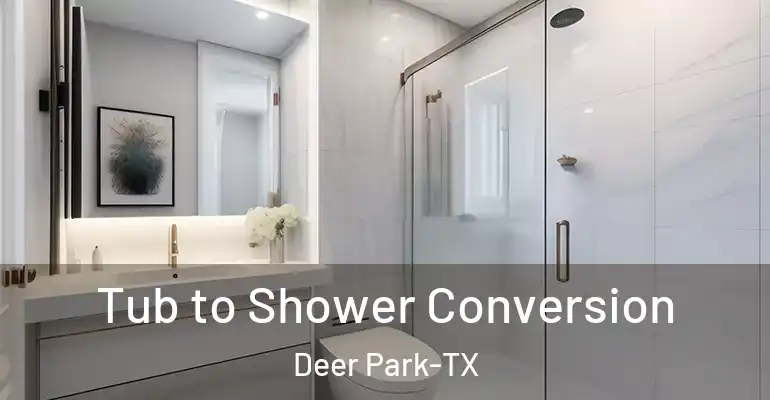 inner Bathroom imggen Tub to Shower Conversion Deer Park-TX