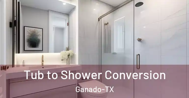 inner Bathroom imggen Tub to Shower Conversion Ganado-TX