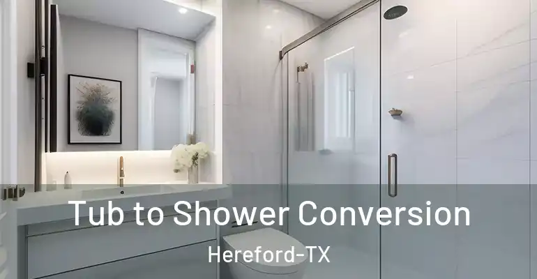 inner Bathroom imggen Tub to Shower Conversion Hereford-TX