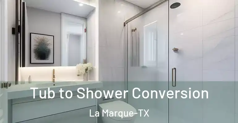inner Bathroom imggen Tub to Shower Conversion La Marque-TX