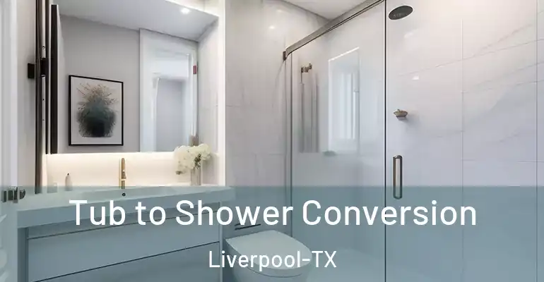 inner Bathroom imggen Tub to Shower Conversion Liverpool-TX