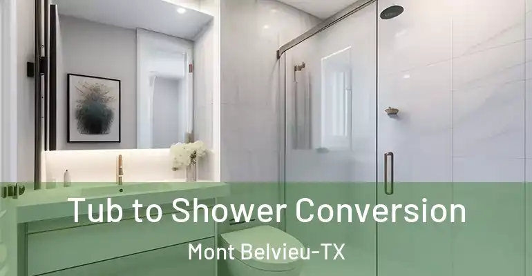 inner Bathroom imggen Tub to Shower Conversion Mont Belvieu-TX