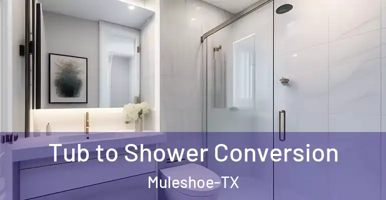 inner Bathroom imggen Tub to Shower Conversion Muleshoe-TX